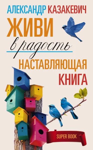 Обложка книги Наставляющая книга. Живи в радость, Александр Казакевич