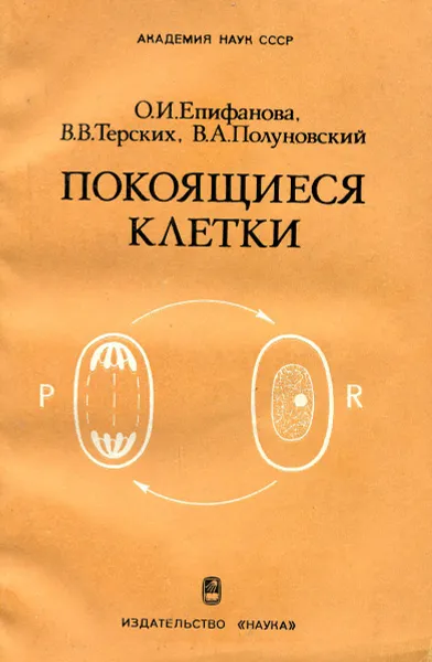 Обложка книги Покоящиеся клетки, Епифанова О., Терских В., Полуновский В.