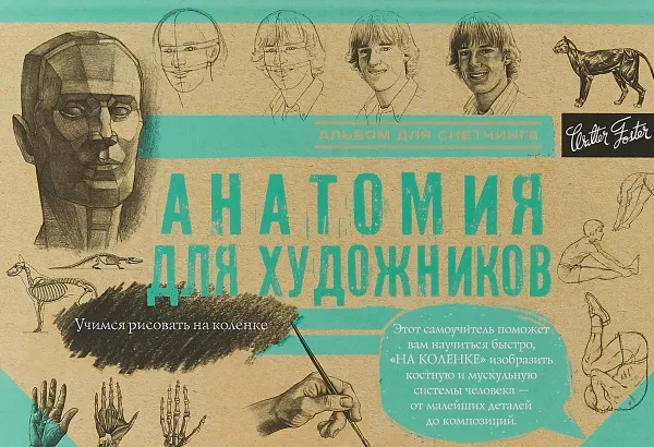 Обложка книги Анатомия для художников, А. Чудова