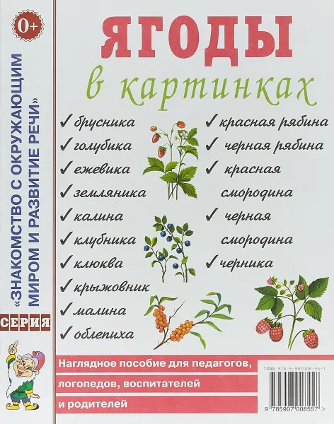 Обложка книги Ягоды в картинках, С. Кулов