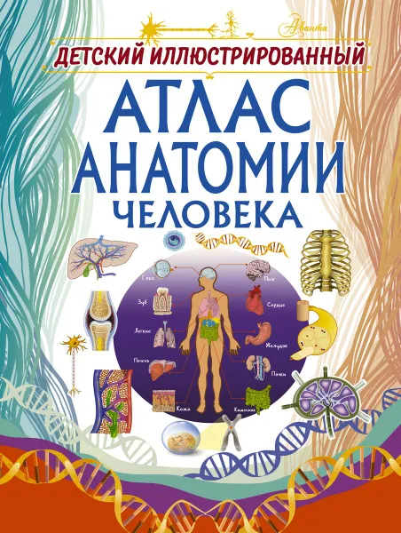 Обложка книги Детский иллюстрированный атлас анатомии человека, Спектор Анна Артуровна