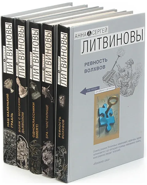 Обложка книги Анна и Сергей Литвиновы. Серия 