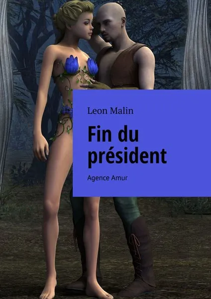 Обложка книги Fin du président. Agence Amur, Malin Leon