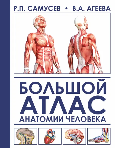 Обложка книги Большой атлас анатомии человека, Р. П. Самусев,В. А. Агеева