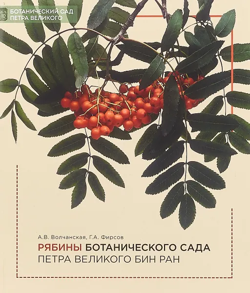 Обложка книги Рябины Ботанического сада Петра Великого, А В. Волчанская, Г. А. Фирсов