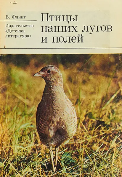 Обложка книги Птицы наших лугов и полей, В. Флинт