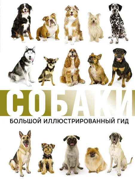 Обложка книги Собаки. Большой иллюстрированный гид, Л. Д. Вайткене, М. Д. Филиппова, И. Г. Барановская