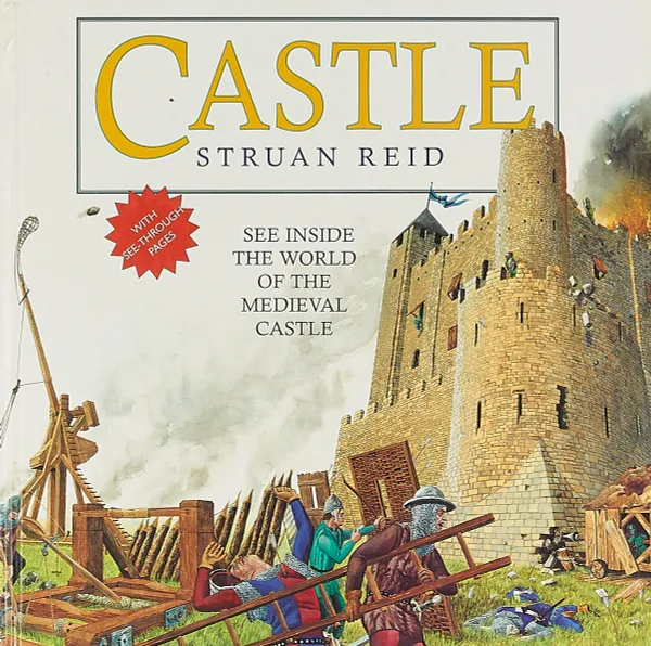 Обложка книги Castle, Struan Reid