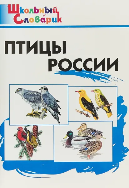 Обложка книги Птицы России, Т. Н. Ситникова