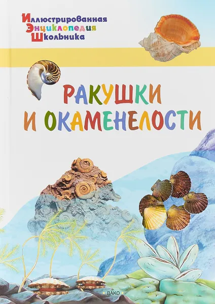 Обложка книги Ракушки и окаменелости, А. А. Орехов