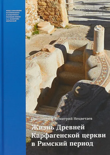 Обложка книги Жизнь Древней Карфагенской церкви, Димитрий Нецветаев