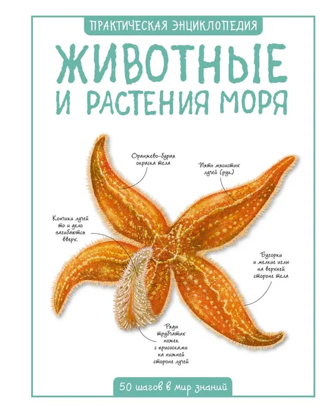 Обложка книги Животные и растения моря, Бедуайер Камилла де ла