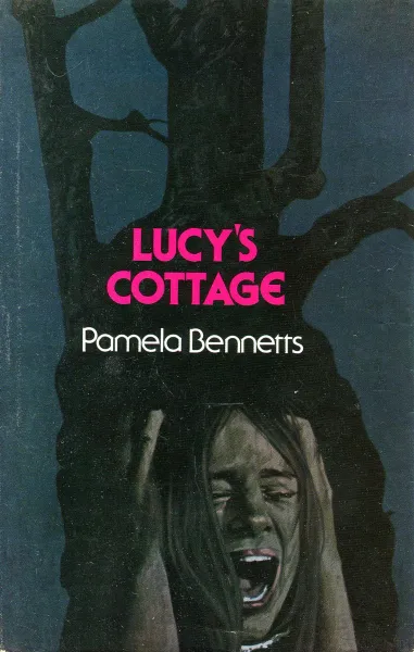 Обложка книги Lucy's Cottage, Pamela Bennetts