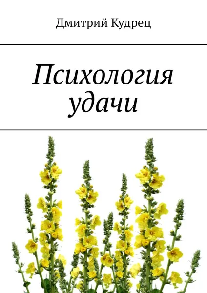 Обложка книги Психология удачи, Кудрец Дмитрий