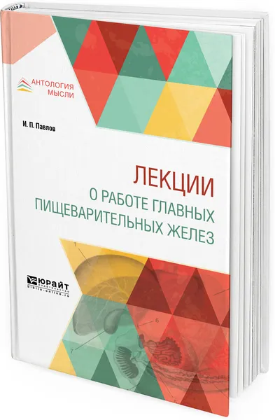 Обложка книги Лекции о работе главных пищеварительных желез, И. П. Павлов