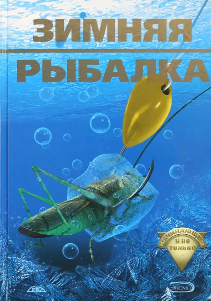 Обложка книги Зимняя рыбалка начинающим и не только, В.Д. Рафеенко