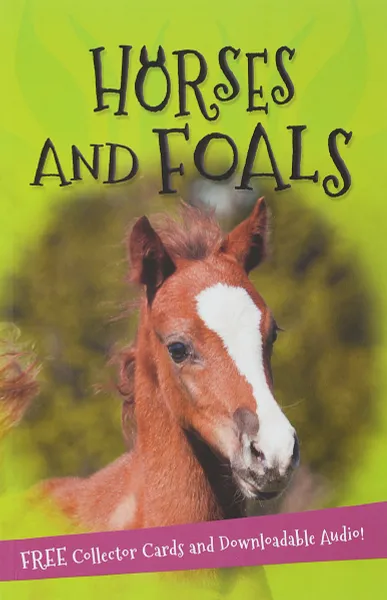 Обложка книги It's all about... Horses and Foals, Kingfisher