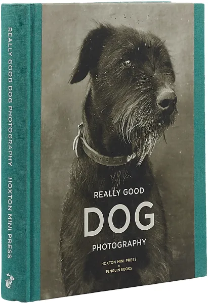 Обложка книги Really Good Dog Photography, Lucy Davies