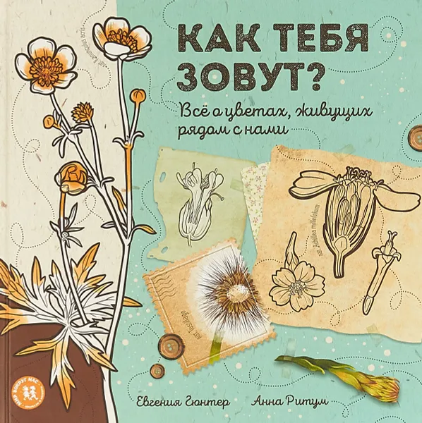 Обложка книги Как тебя зовут? Все о цветах, живущих рядом с нами, Евгения Гюнтер