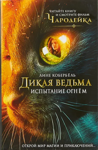 Обложка книги Испытание огнем, Лине Кобербель