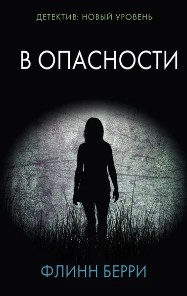 Обложка книги В опасности, Берри Флинн