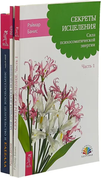 Обложка книги Энергетическое целительство. Моя дорога. Секреты исцеления (комплект из 3 книг), Штерн Деви,Рудигер Дальке,Владимир Осипов