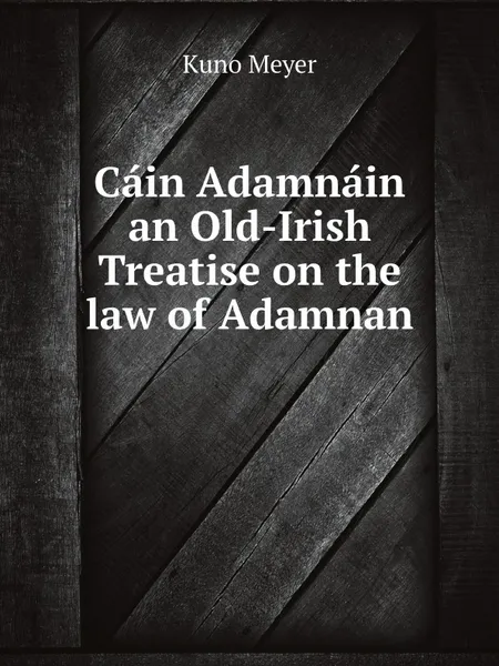 Обложка книги Cain Adamnain  an Old-Irish Treatise on the law of Adamnan, Kuno Meyer