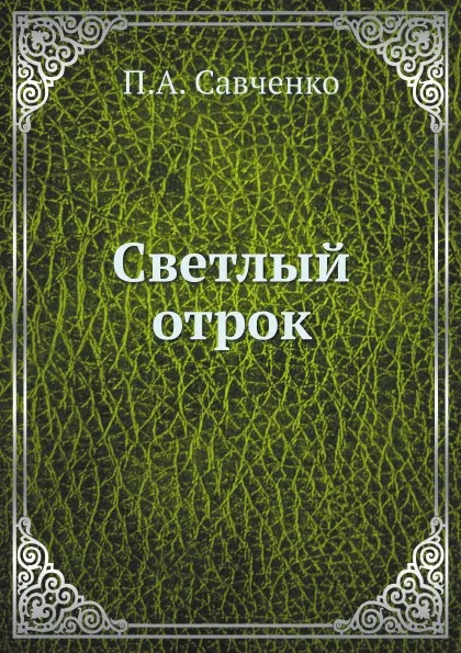 Обложка книги Светлый отрок, П.А. Савченко