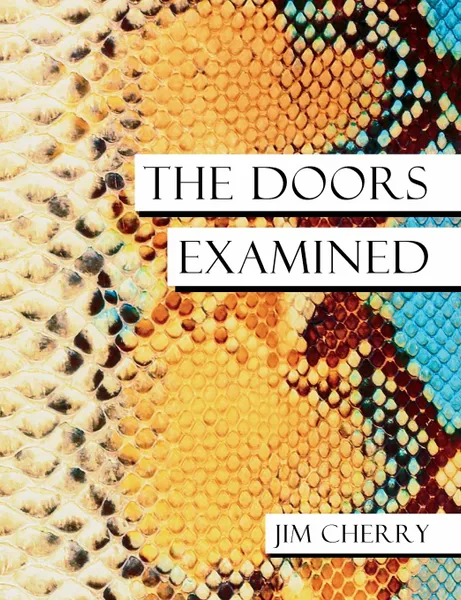 Обложка книги The Doors Examined, Jim Cherry