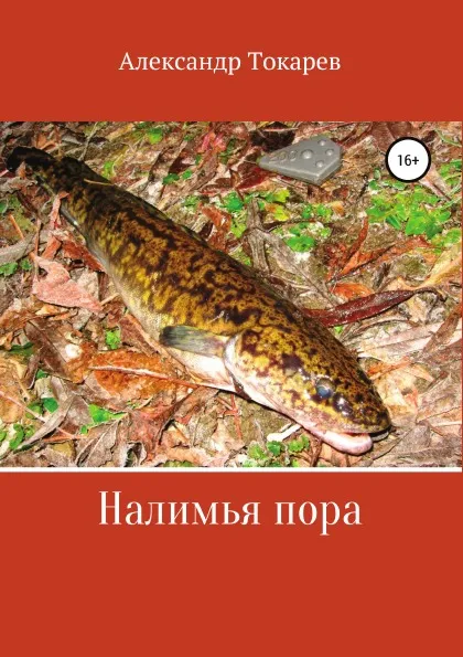 Обложка книги Налимья пора, Александр Токарев