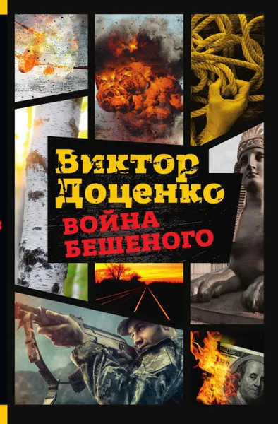 Обложка книги Война Бешеного, Виктор Доценко