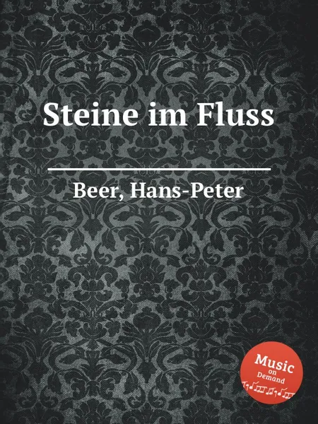 Обложка книги Steine im Fluss, H.-P. Beer