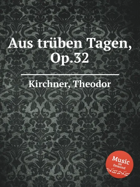 Обложка книги Aus truben Tagen, Op.32, T. Kirchner