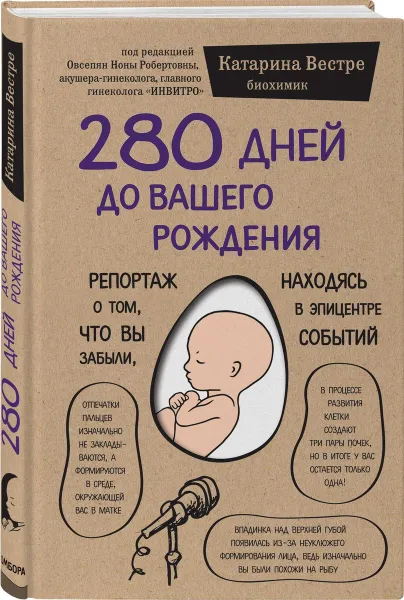 Обложка книги 280 дней до вашего рождения. Репортаж о том, что вы забыли, находясь в эпицентре событий, Катарина Вестре