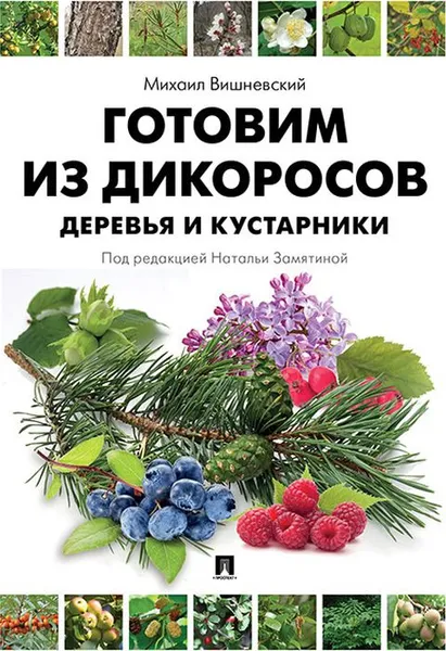 Обложка книги Готовим из дикоросов. Деревья и кустарники, М. В. Вишневский