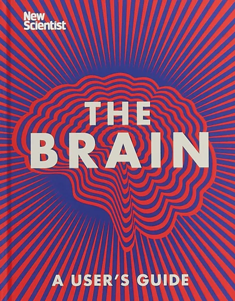 Обложка книги The Brain, New Scientist