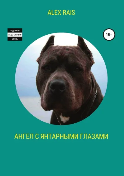 Обложка книги Ангел с янтарными глазами, Alex Rais