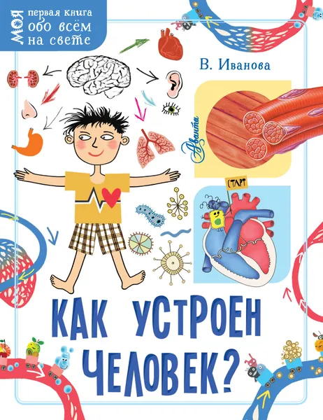 Обложка книги Как устроен человек?, В. В. Иванова