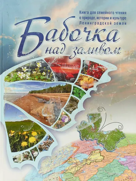 Обложка книги Бабочка над заливом, Т. А. Кудрявцева