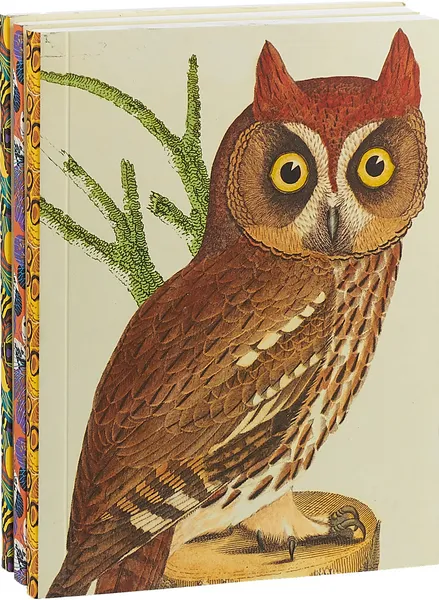 Обложка книги AMNH Nature's Art Petite: Journal Set, Wilson Alexander