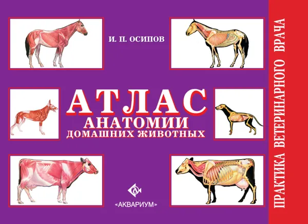 Обложка книги Атлас анатомии домашних животных, И. П. Осипов