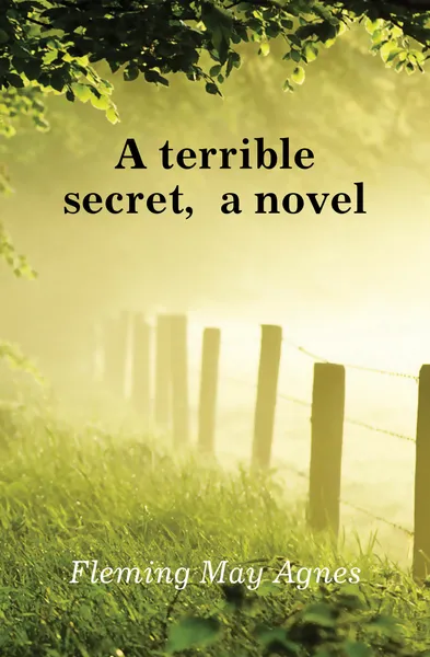 Обложка книги A terrible secret, a novel, Fleming May Agnes