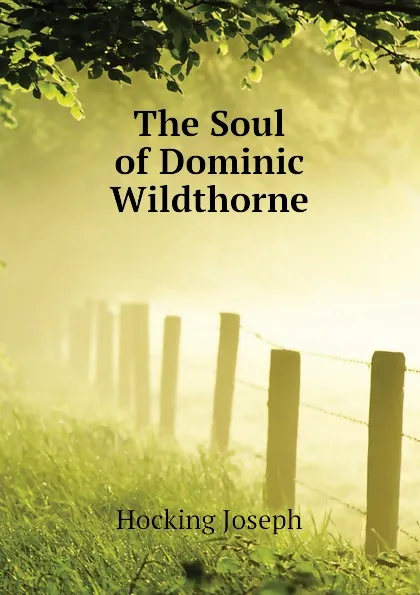 Обложка книги The Soul of Dominic Wildthorne, Hocking Joseph