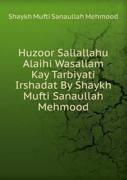 Обложка книги Huzoor Sallallahu Alaihi Wasallam Kay Tarbiyati Irshadat By Shaykh Mufti Sanaullah Mehmood, Shaykh Mufti Sanaullah Mehmood