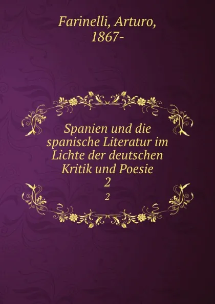 Обложка книги Spanien und die spanische Literatur im Lichte der deutschen Kritik und Poesie, Arturo Farinelli