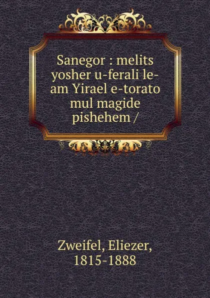 Обложка книги Sanegor, Eliezer Zweifel