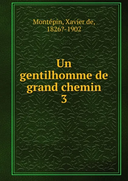 Обложка книги Un gentilhomme de grand chemin, Xavier de Montepin