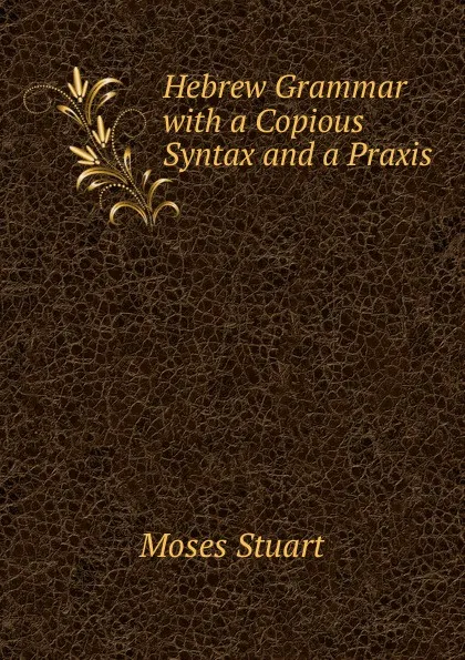 Обложка книги Hebrew Grammar with a Copious Syntax and a Praxis, Moses Stuart