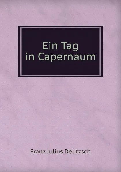 Обложка книги Ein Tag in Capernaum, Franz Julius Delitzsch