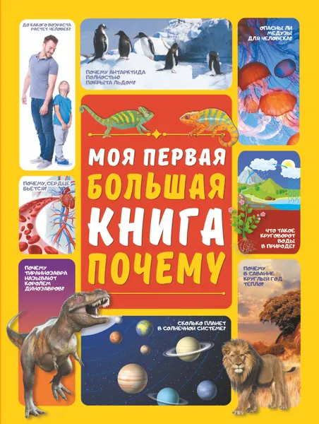 Обложка книги Моя первая большая книга ПОЧЕМУ, Д. И. Ермакович